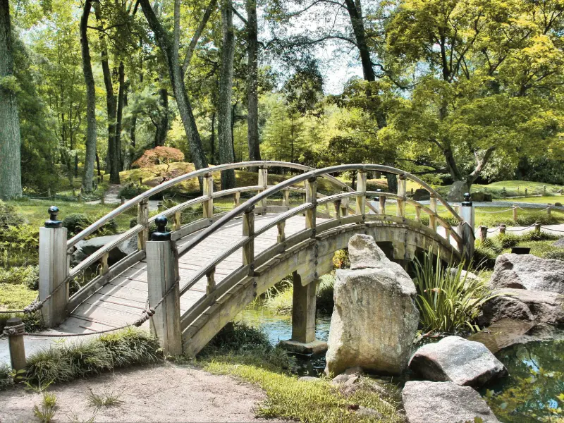 psychotherapie-sotiri-bild01´3 Brücke, Fluß und Bäume